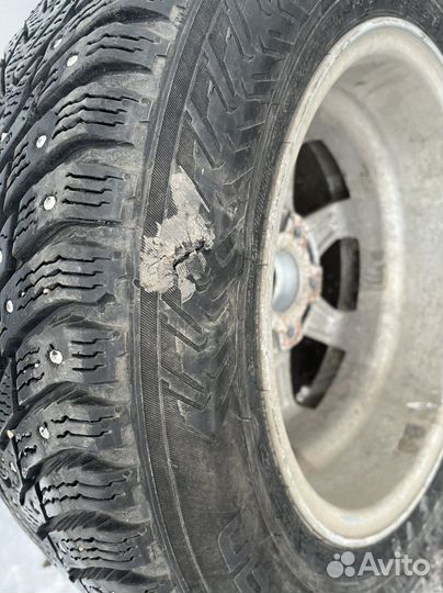 Зимняя резина на дисках 195/65 R15 Nokian hkpl 8