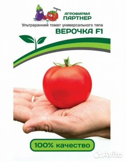 Рассада помидор