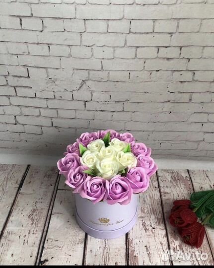 Роза мыльная сиреневая