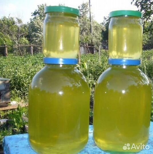 Майская акация мёд 2023 г (доставка)