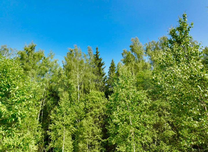 Участок 5 сот. (ИЖС)