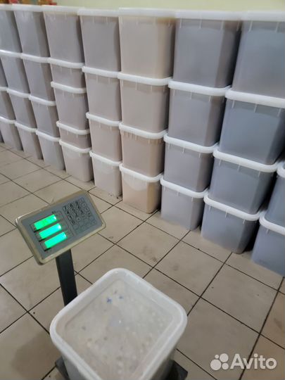 Мед алтайский оптом с пасеки