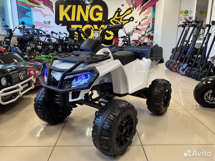 Электроквадроцикл Grizzly Next 4WD