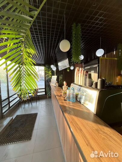 Прибыльный бизнес Bali Island Coffee (от 200 тыс )