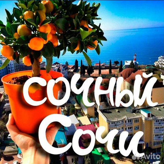 Сочи Cosmos Stay Le Rond Sochi 27.07