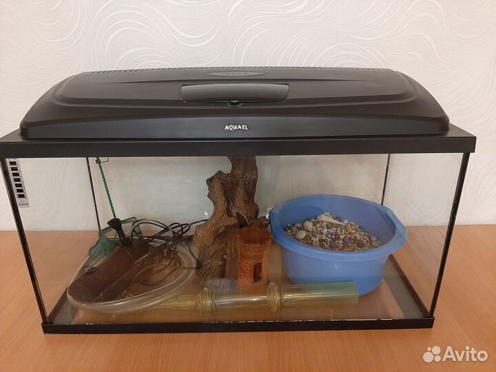 Аквариумные принадлежности и террариум