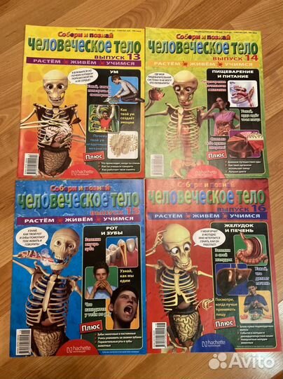 Журналы Человеческое тело и Артём