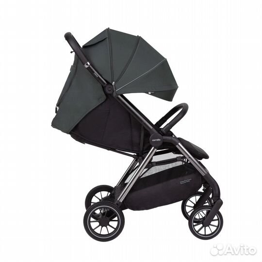 Коляска прогулочная Carrello Delta Flint Grey