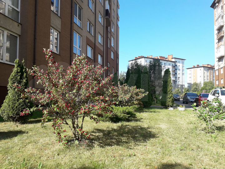 1-к. квартира, 45,2 м², 1/9 эт.