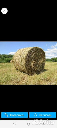 Сено в рулонах