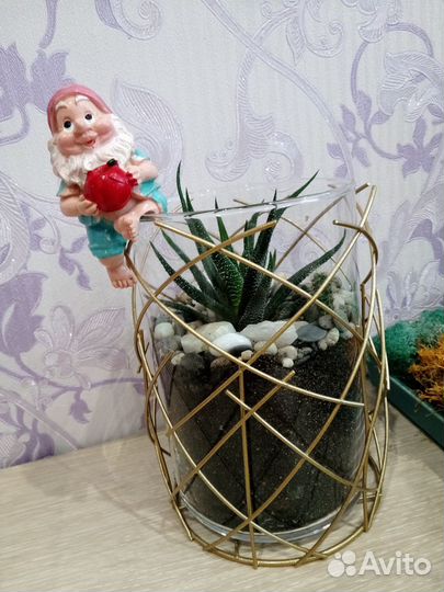 Цветы в стекле. Флорариум. Подарки