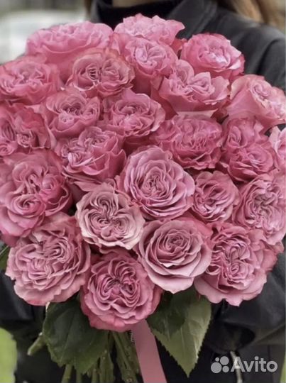 Пионовидная розы Эквадор премиум