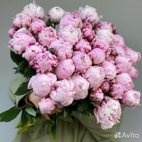 Свежие пионы, цветы от производителя. 24/7