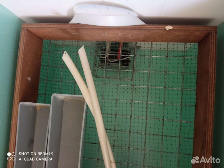 Инкубатор для яиц автоматический