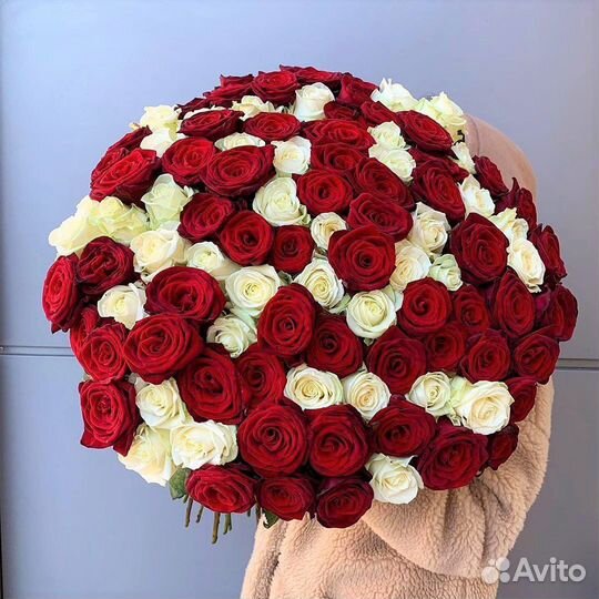 Розы 25 Роза 31 Роза 51 Роза 101 Ароматные Розы