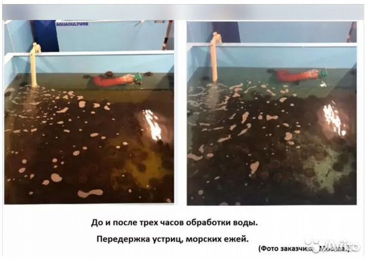 Озонатор для воды