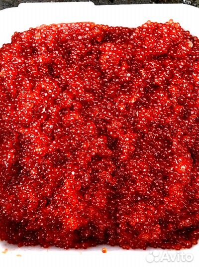 Икра горбуши красная - 2023 оптом