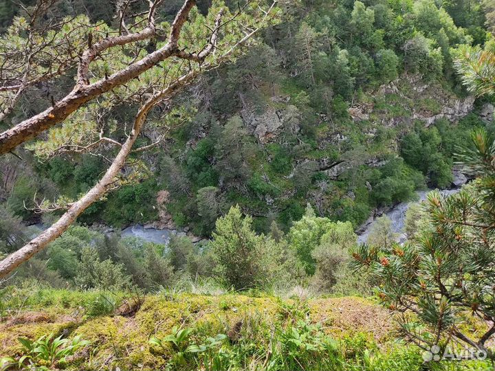 Путешествия. Экскурсии по Горам