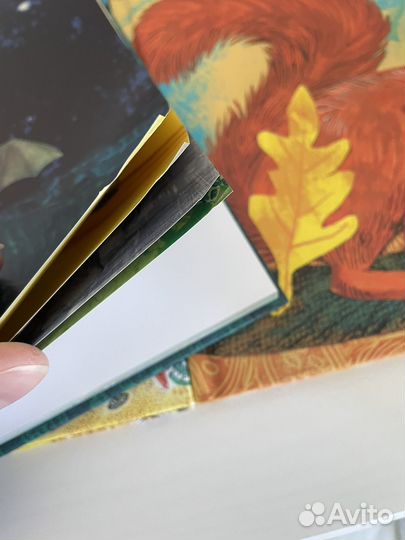 Красивая книга о море Никола Дэвис вся серия