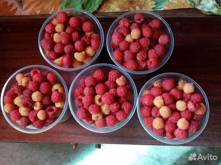 Соберу ягоду