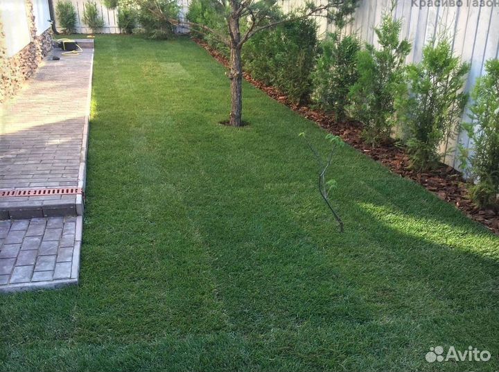Газон с быстрой доставкой