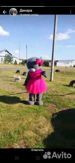 Мишка тедди