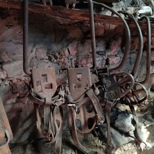 Когти лазы монтерские и ремни