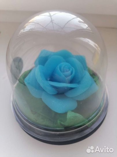 Роза в куполе