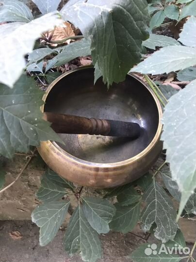 Тибетская чаша