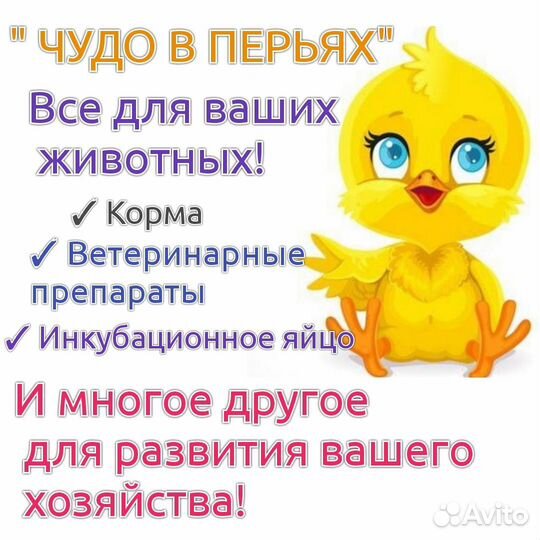 Товары для птицеводства