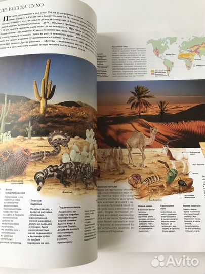 Книга Атлас Мира Ридерз Дайджест Раритет