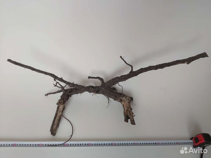 Коряги корни для аквариума / террариума