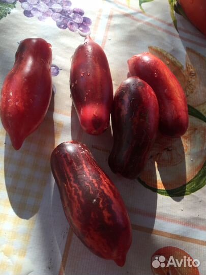 Семена сортового томата Сливка гурман