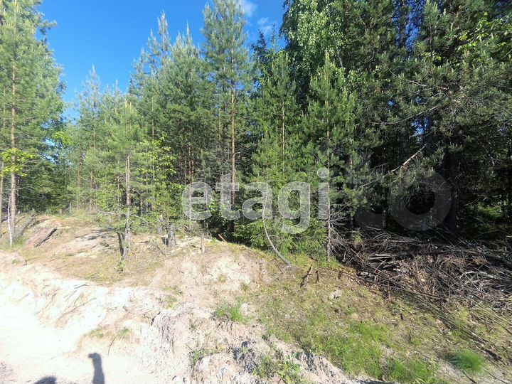 Участок 10 сот. (СНТ, ДНП)