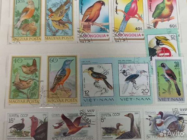 Почтовые марки СССР