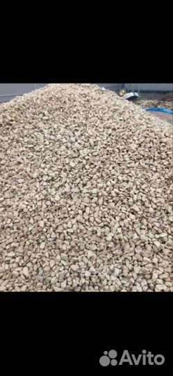 Земля. Торф