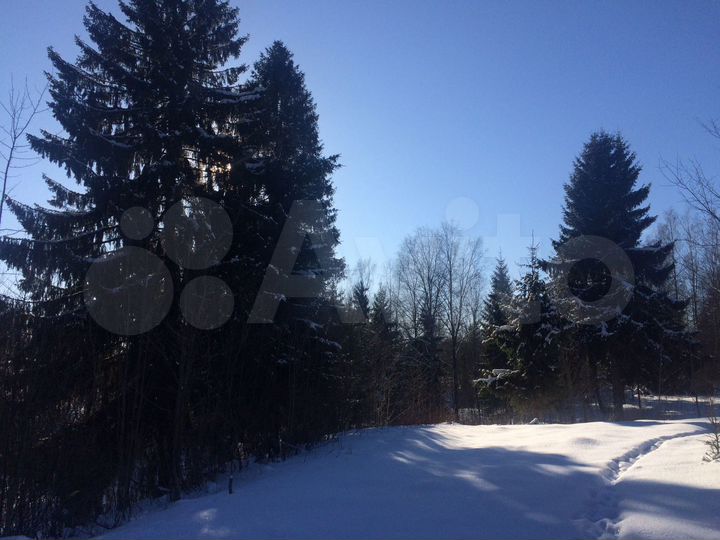 Участок 50 сот. (ИЖС)