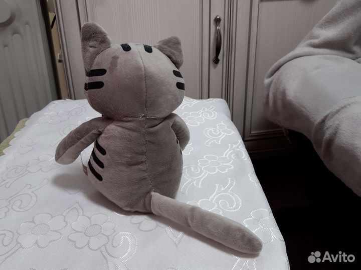 Котик дружелюбный