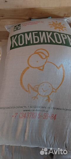 Ячмень