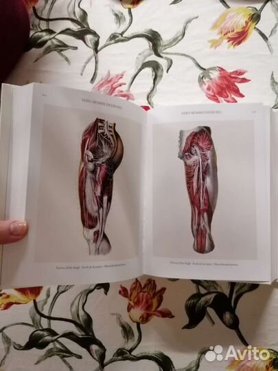 Atlas of human anatomy and surgery Тaschen