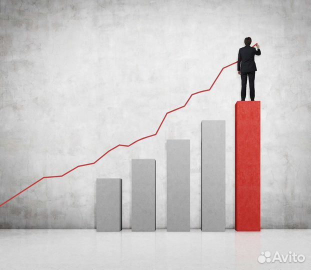 Бизнес консультант/помощник в развитии бизнеса