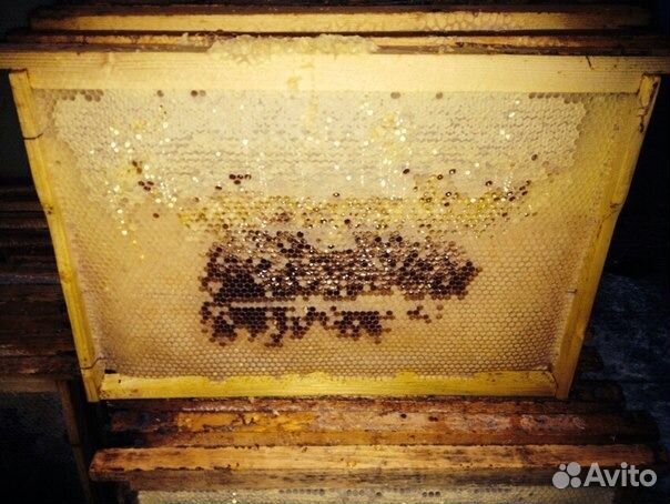 Рамки с сушью