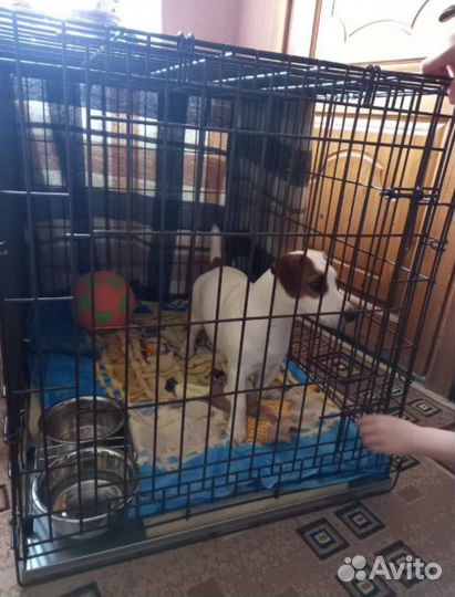 Клетки с оцинкованным поддоном разных размеров