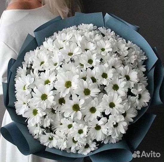 Хризантема Букеты с доставкой