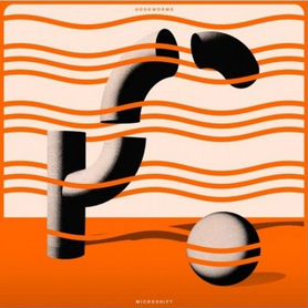 Hookworms - Microshift (CD)