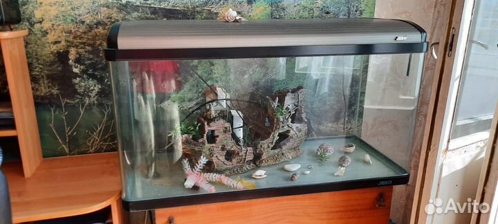 Аквариум jebo