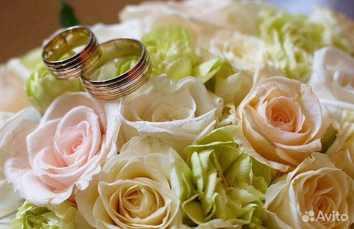 Музыка, диджей, свет, ведущий на Ваше торжество