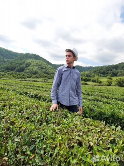 Сборка пк, компьютерный мастер, установка windows