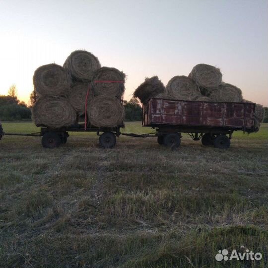 Сено в тюках