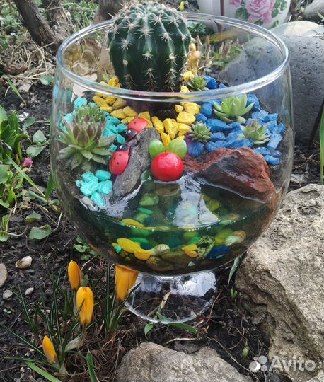 Подарки из живых цветов. Флорариумы на заказ